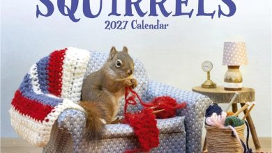 The Secret Life Of Squirrels Calendar 2027