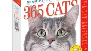 365 Days Of Cats Desk Calendar 2027