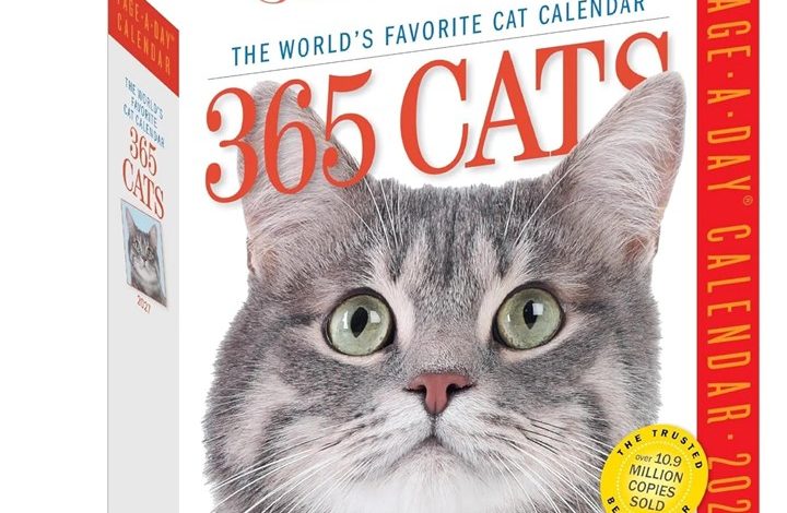 365 Days Of Cats Desk Calendar 2027