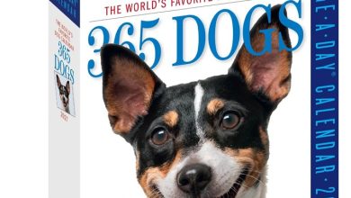 365 Days Of Dogs Desk Calendar 2027