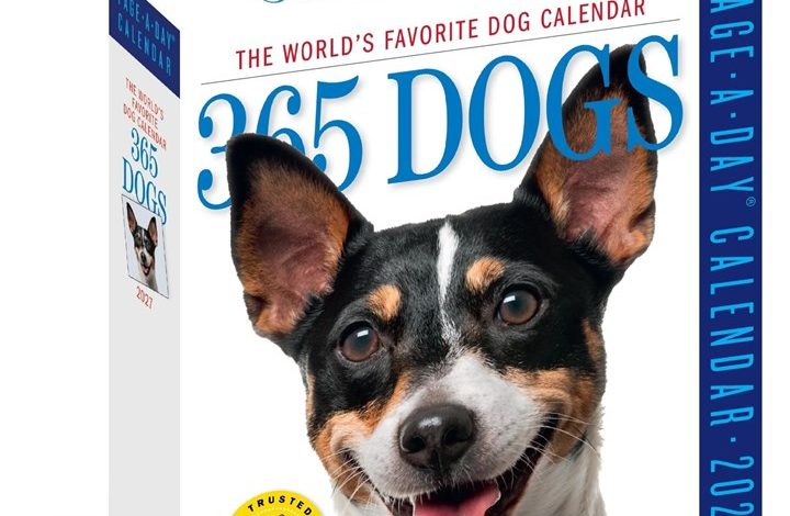 365 Days Of Dogs Desk Calendar 2027
