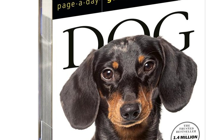 Dog Gallery Desk Calendar 2027