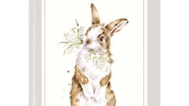 Wrendale Designs A6 Diary 2027