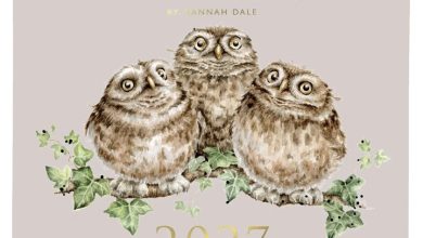 Wrendale Designs