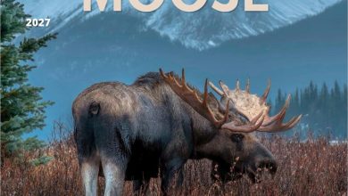 Moose Calendar 2027
