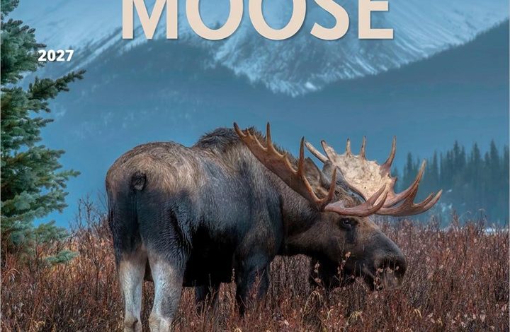 Moose Calendar 2027