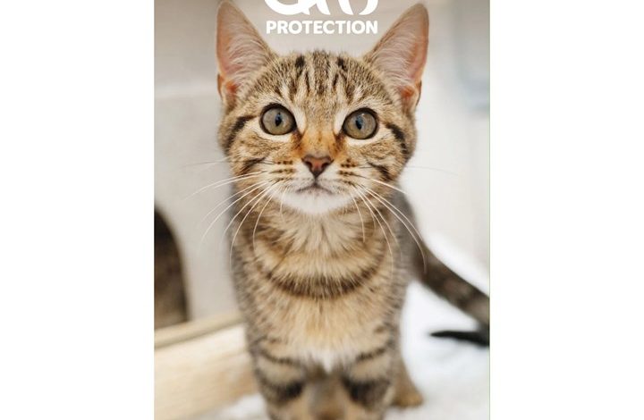 Cats Protection Slim Diary 2027