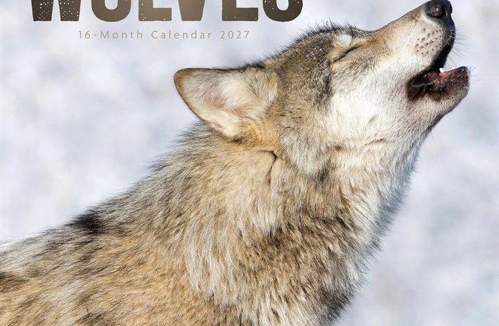Wolves Calendar 2027