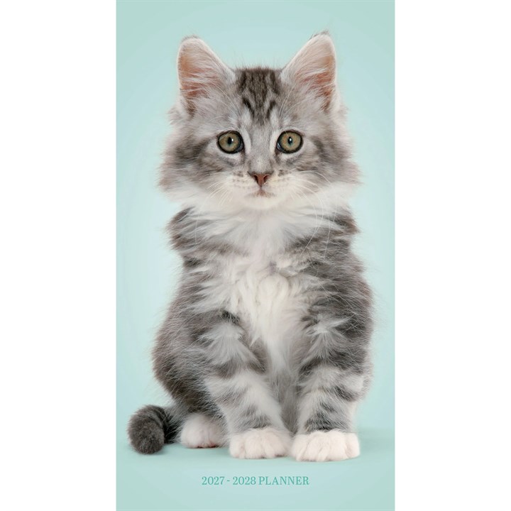 Kittens Slim Diary 2027 – 2028