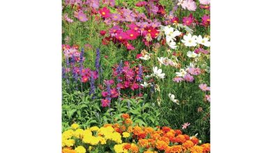 Garden Slim Diary 2027 - 2028