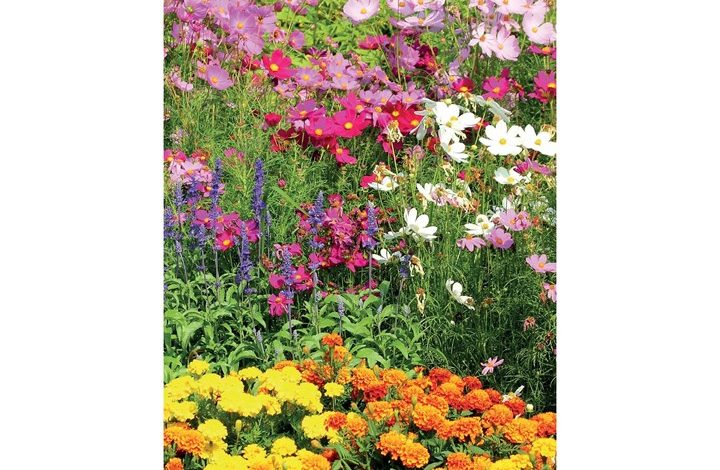 Garden Slim Diary 2027 - 2028