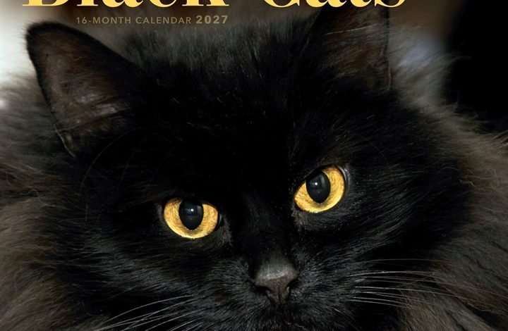 Black Cats Calendar 2027