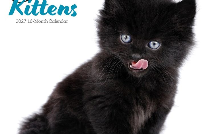 Black Kittens Calendar 2027