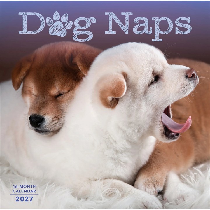 Dog Naps Calendar 2027