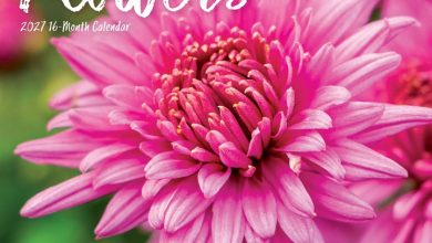 Flowers Calendar 2027