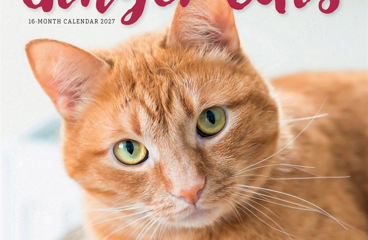 Ginger Cats Calendar 2027