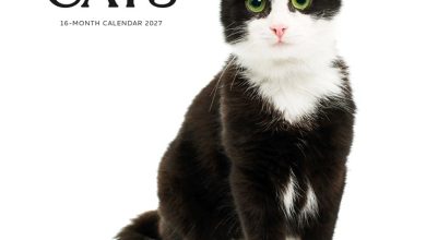 Tuxedo Cats Calendar 2027