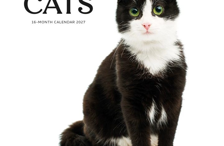 Tuxedo Cats Calendar 2027