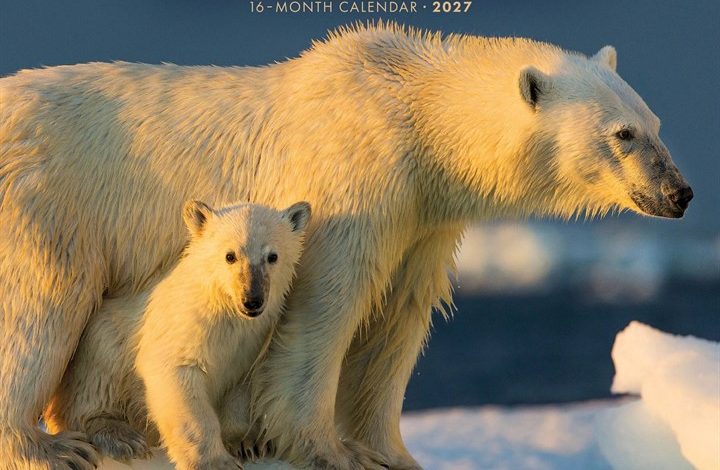 Wildlife Calendar 2027