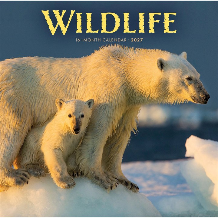 Wildlife Calendar 2027