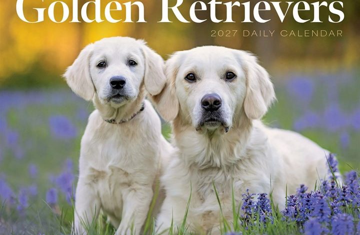 Golden Retrievers Desk Calendar 2027