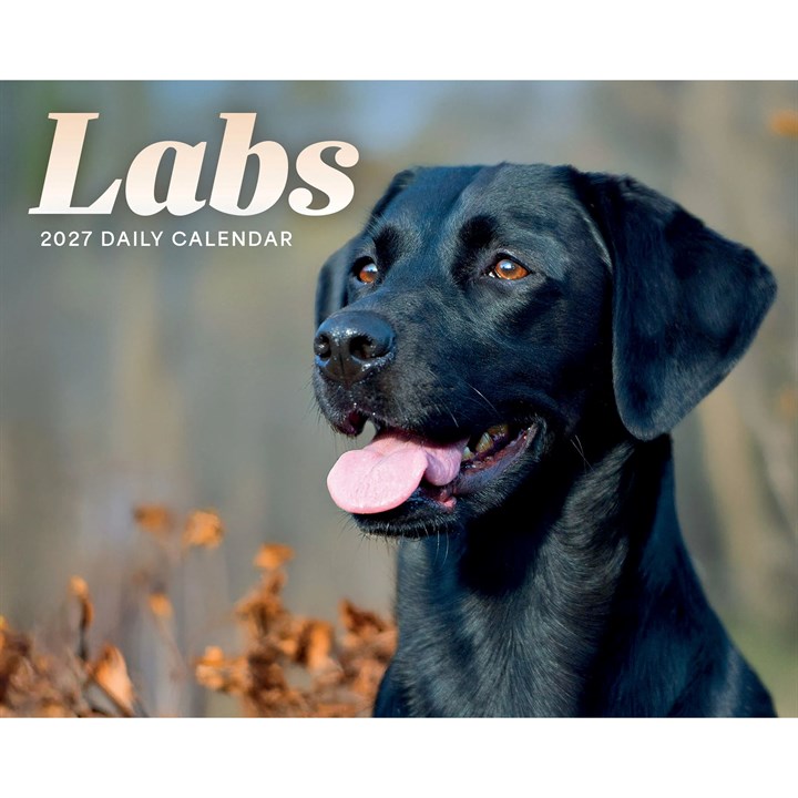 Labrador Retrievers Desk Calendar 2027