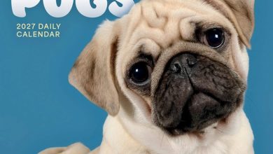 Pugs Desk Calendar 2027