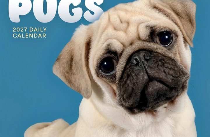 Pugs Desk Calendar 2027