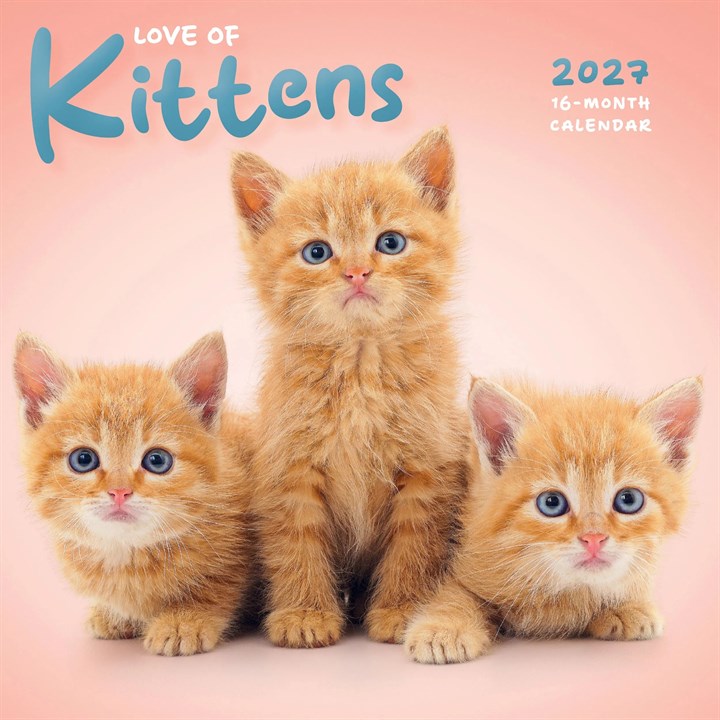Love of Kittens Mini Calendar 2027