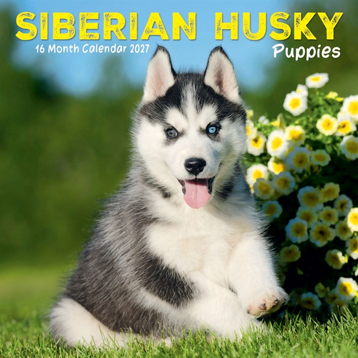 Siberian Husky Puppies Mini Calendar 2027