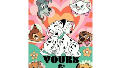 Disney Yours & Mine Deluxe Calendar 2027