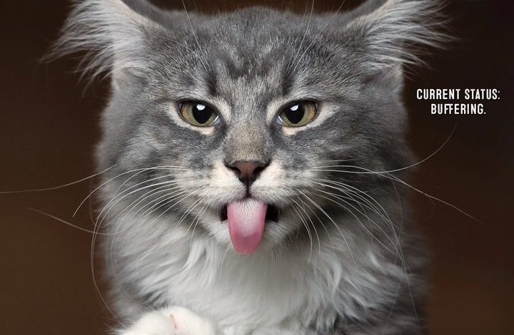 Bad Kitties Calendar 2027