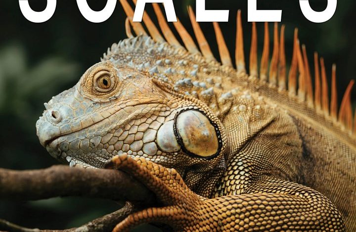 Scales