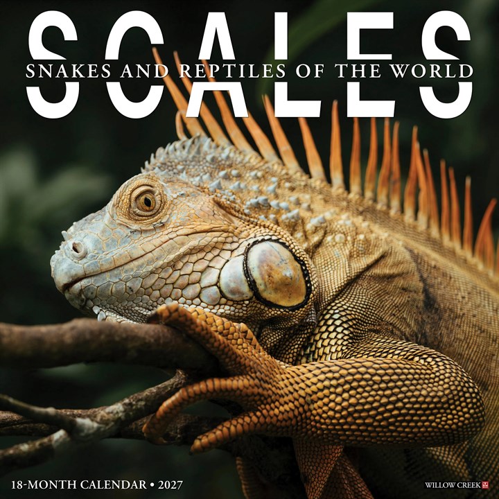 Scales, Snakes & Reptiles Calendar 2027