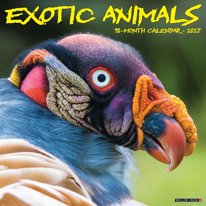Exotic Animals Calendar 2027