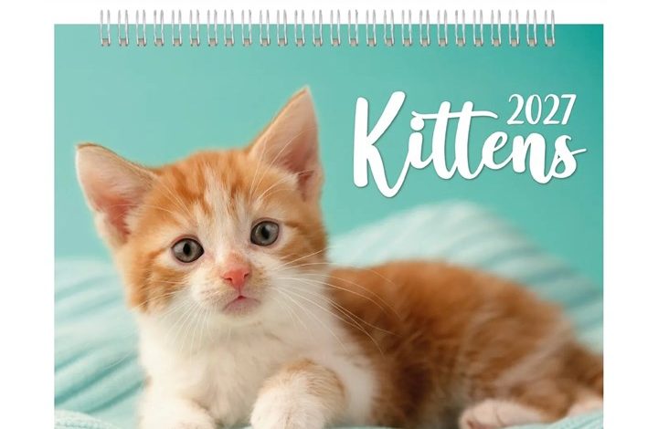 Kittens Easel Desk Calendar 2027