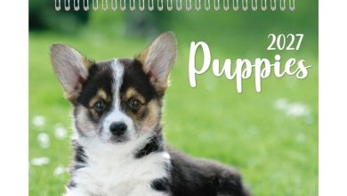 Puppies Easel Desk Calendar 2027