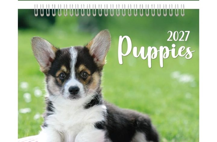 Puppies Easel Desk Calendar 2027