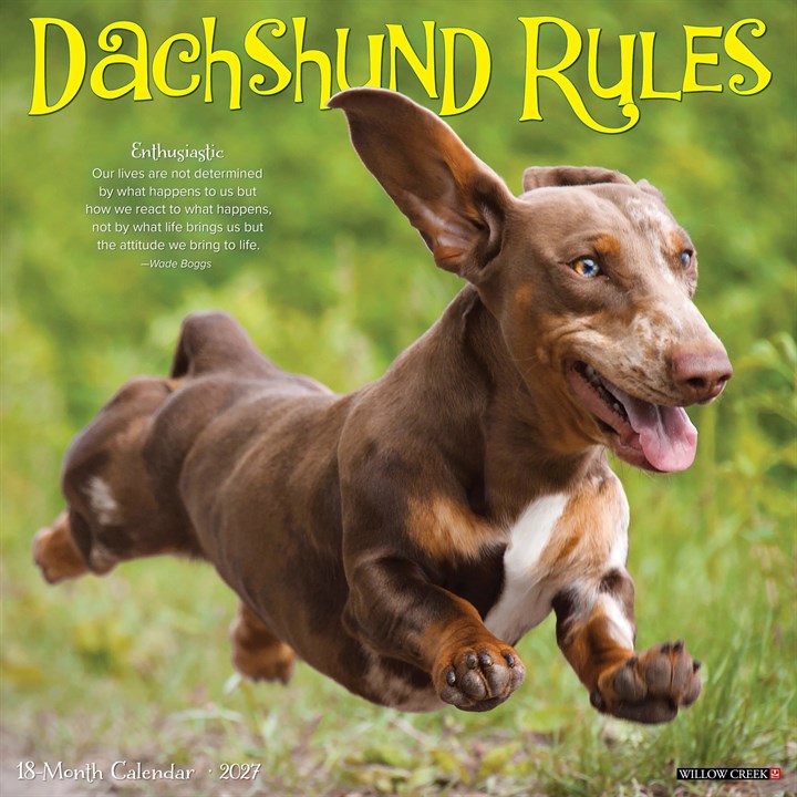 Dachshund Rules Calendar 2027