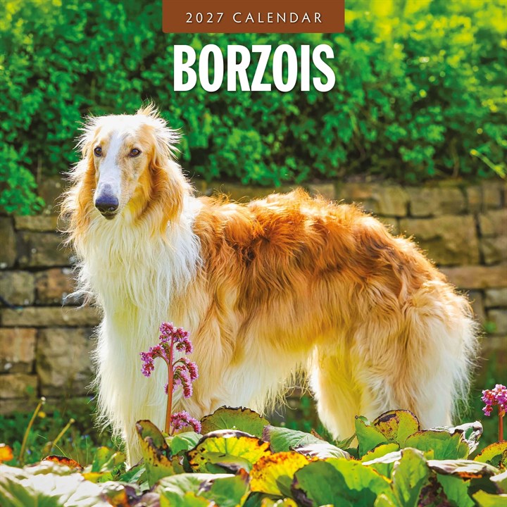 Borzois Calendar 2027