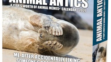 Animal Antics Desk Calendar 2027