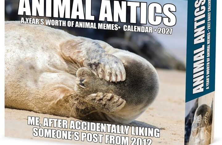 Animal Antics Desk Calendar 2027