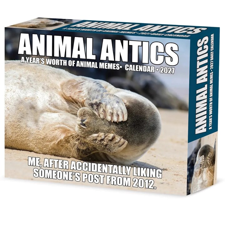 Animal Antics Desk Calendar 2027