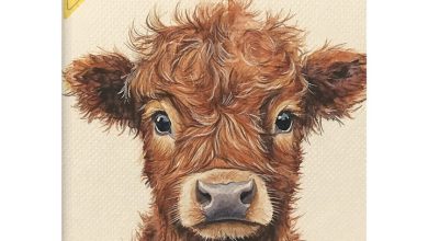 Highland Cow Monthly A6 Diary 2026 - 2027