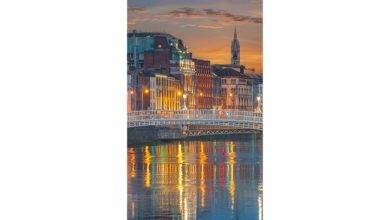 Dublin Bookmark Calendar 2027