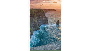 Wild Ireland Bookmark Calendar 2027