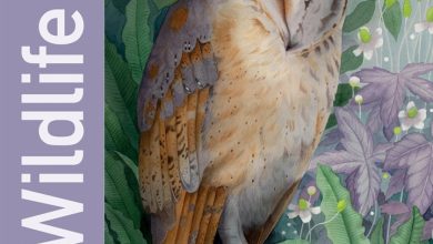 Bex Parkin Wildlife Calendar 2027