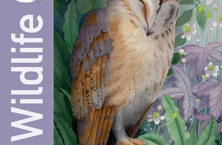 Bex Parkin Wildlife Calendar 2027