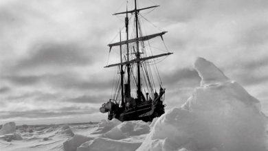 Polar Museum Calendar 2027