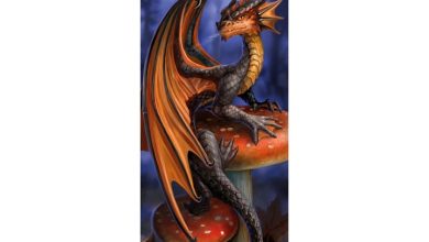 Anne Stokes Slim Calendar 2027